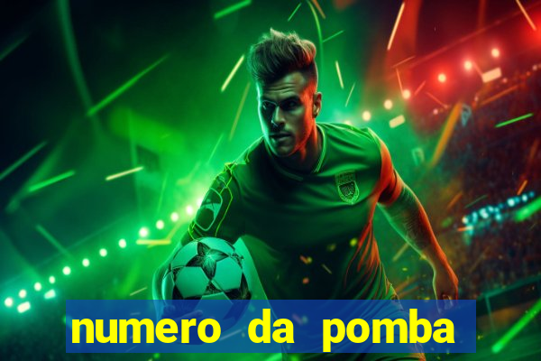 numero da pomba jogo do bicho